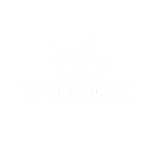 The Young Journalist 