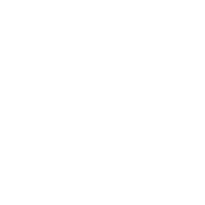 Blis Branding Solutions