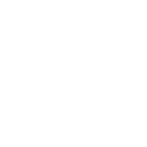 Elite Sales Inc.