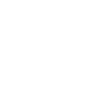 PDM Net