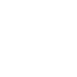 Omega Technology Solutions