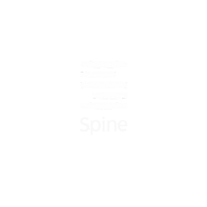 Spin LLC