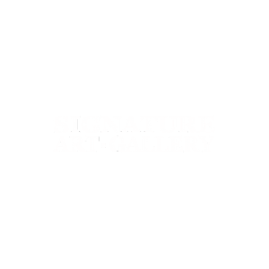 Signature Art Gallery