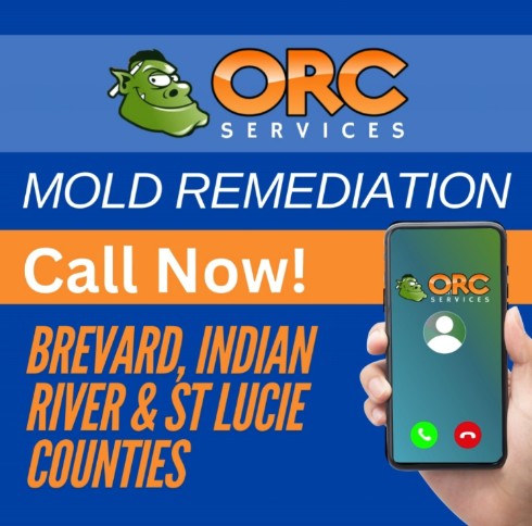 Expert Mold Remediation Services | ORC Services