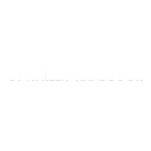 Optimizer Handbook