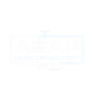 ASAP Leak Detection